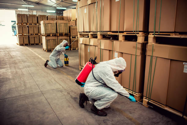 Best Affordable Pest Control Services  in Moline, IL