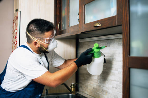 Best Affordable Pest Control Services  in Moline, IL