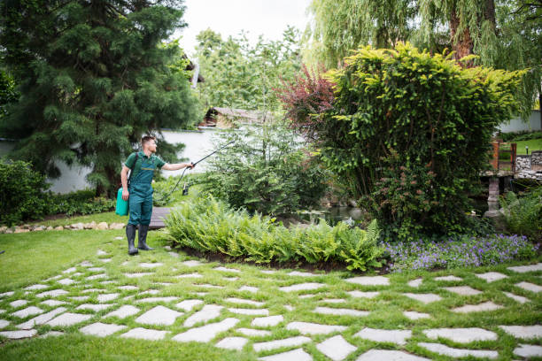 Best Emergency Pest Control  in Moline, IL