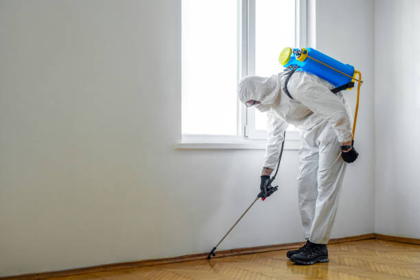 Best Residential Pest Control  in Moline, IL