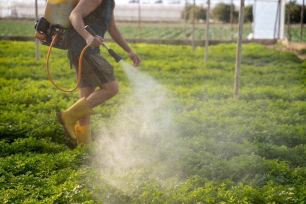 Best Best Pest Control Companies  in Moline, IL