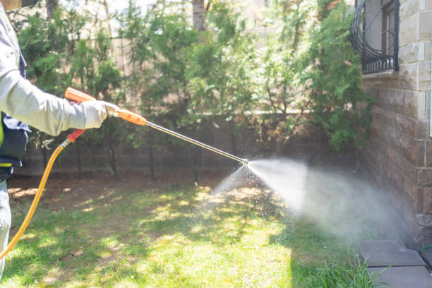 Best Emergency Pest Control  in Moline, IL