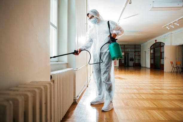 Best Termite Control Services  in Moline, IL